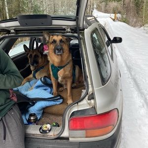 Meet your Posher, Marissa